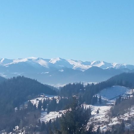 На Березові Krivorovnya Bagian luar foto