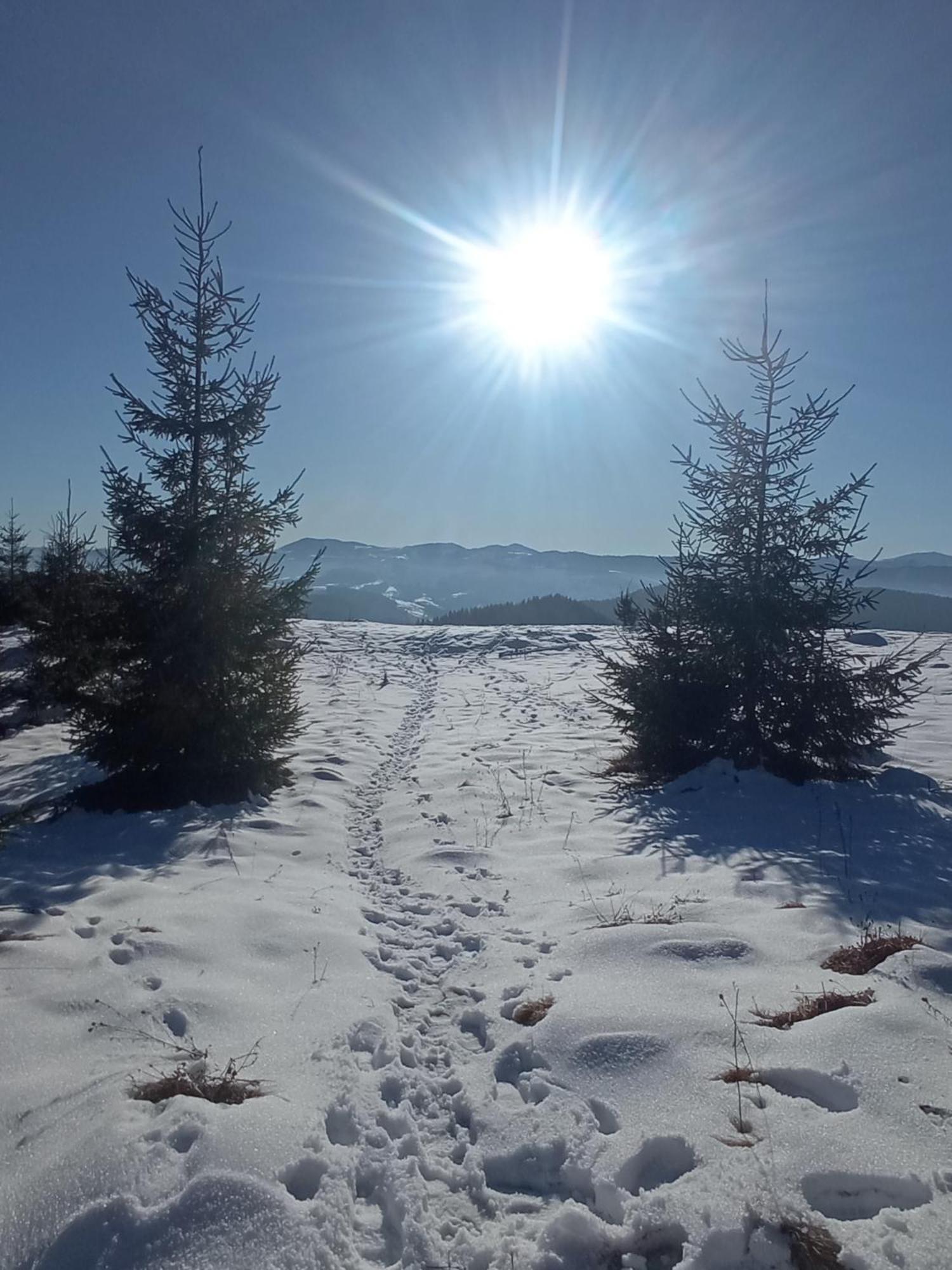 На Березові Krivorovnya Bagian luar foto